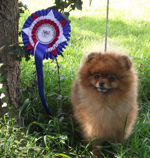 Hantoine De Djerambar - 2 eme excellent RCACS