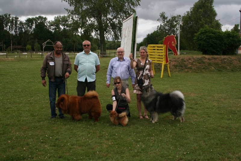 Hantoine De Djerambar - 1 EXCELLENT MEILLEUR NAIN ET MEILLEUR DE RACE