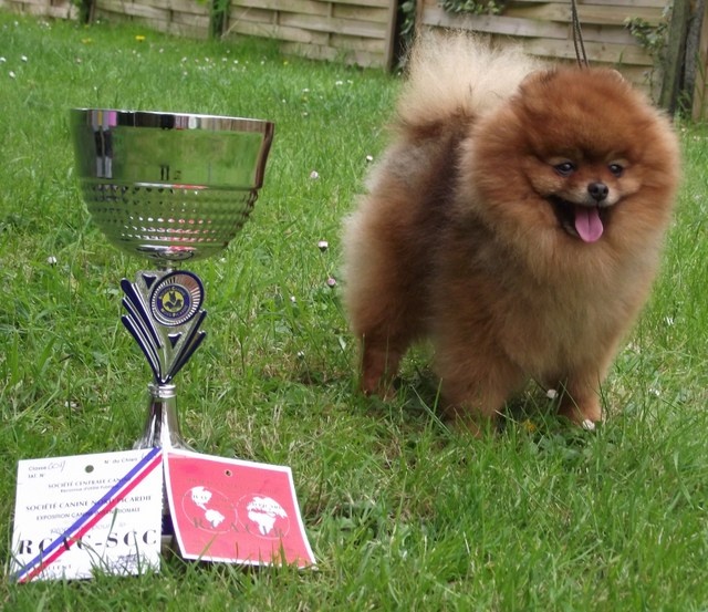 Hantoine De Djerambar - 2 EME EXCELLENT RCACS RCACIB