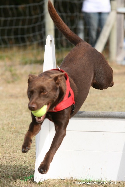 Publication : De Xolak