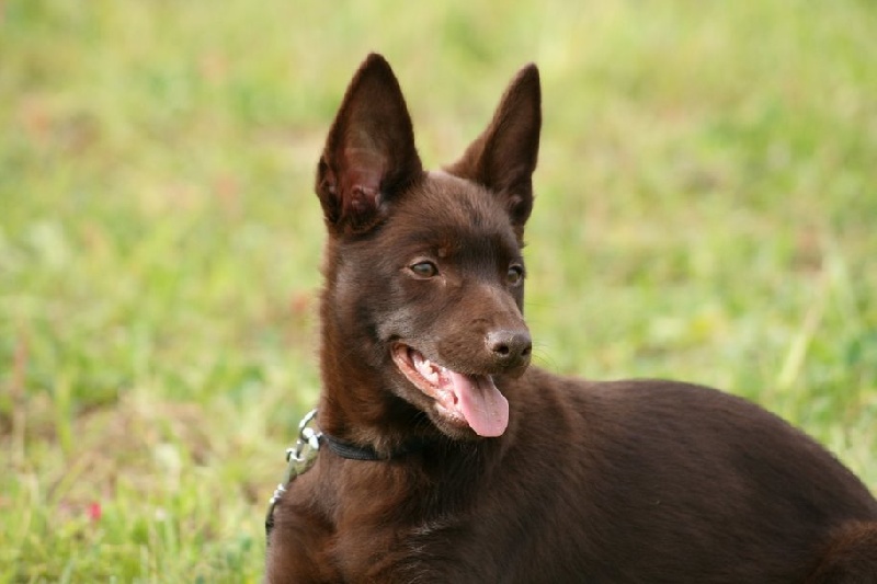 Publication : De Xolak