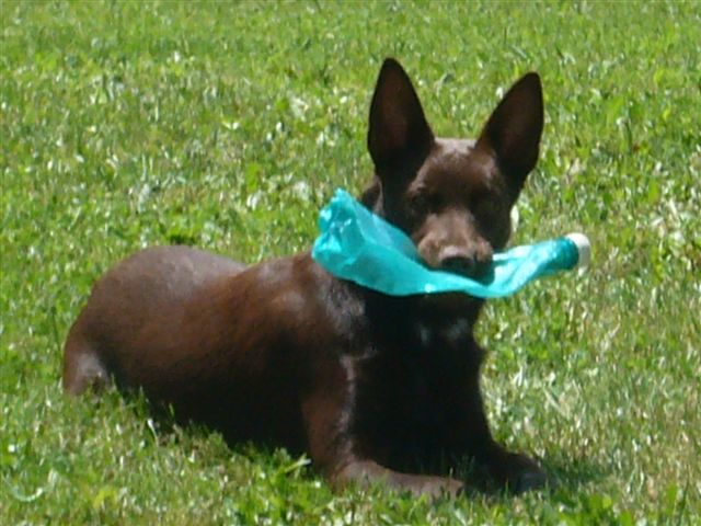 Publication : De Xolak