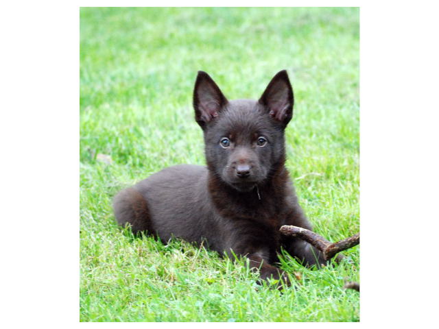 Publication : De Xolak