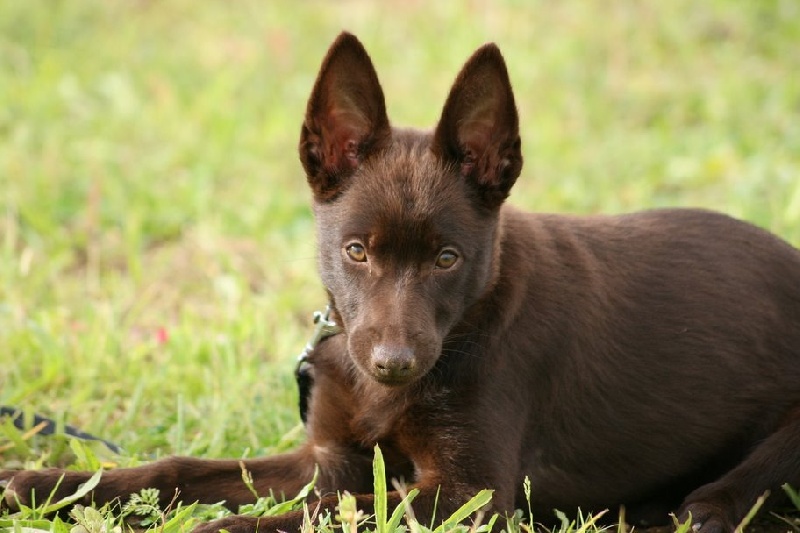 Publication : De Xolak