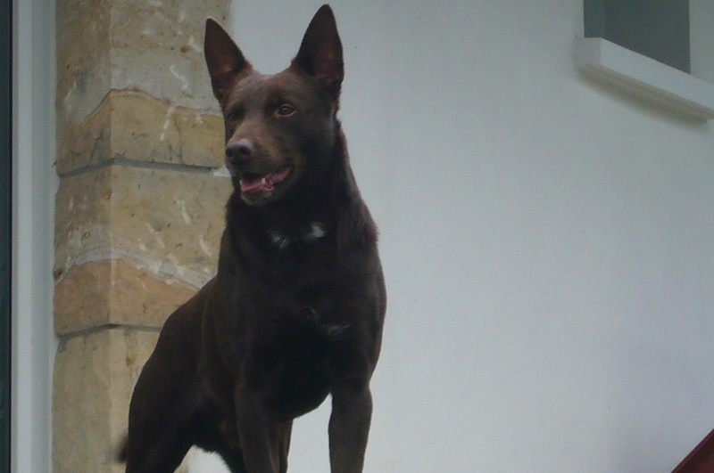 Publication : De Xolak