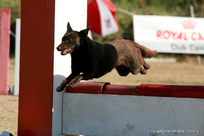 Publication : De Xolak