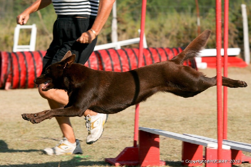 Publication : De Xolak