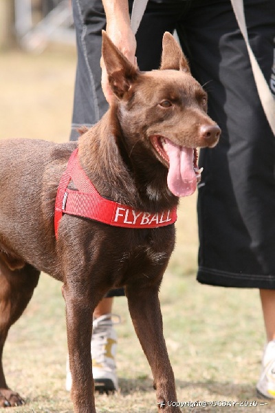 Publication : De Xolak