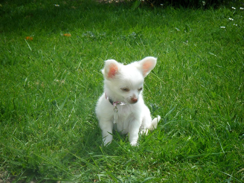 Publication : Du Bella Star