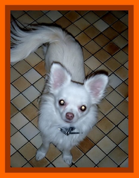 Publication : Du Bella Star