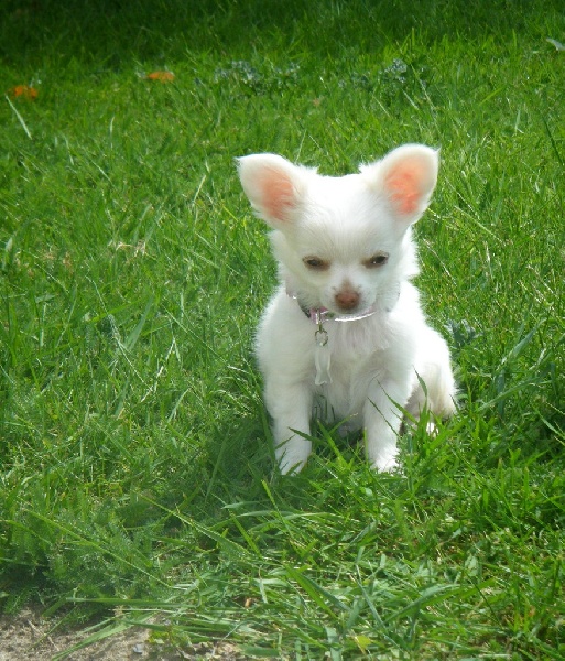 Publication : Du Bella Star