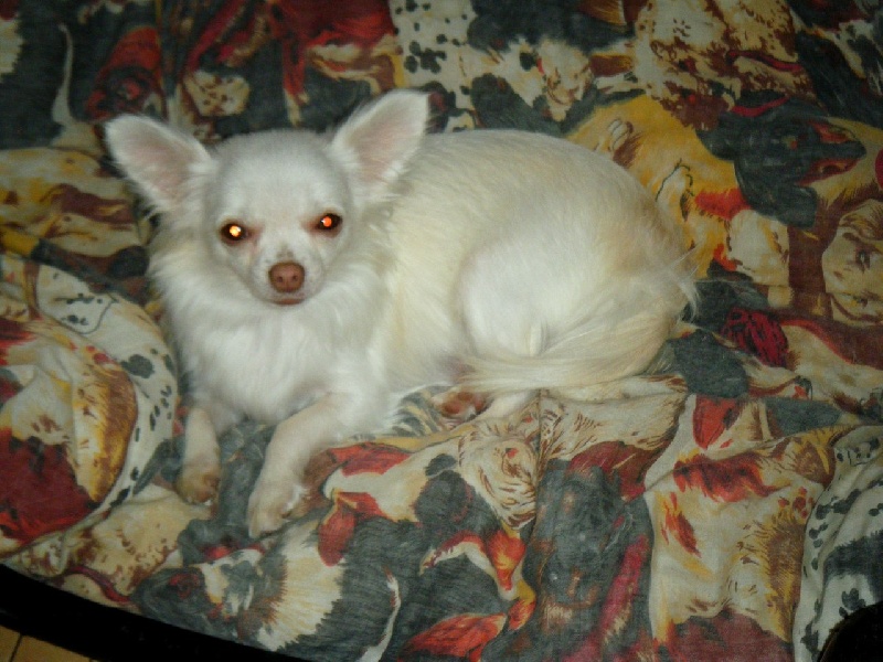 Publication : Du Bella Star