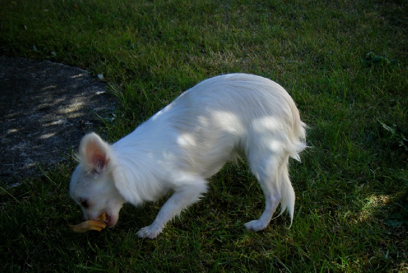 Publication : Du Bella Star