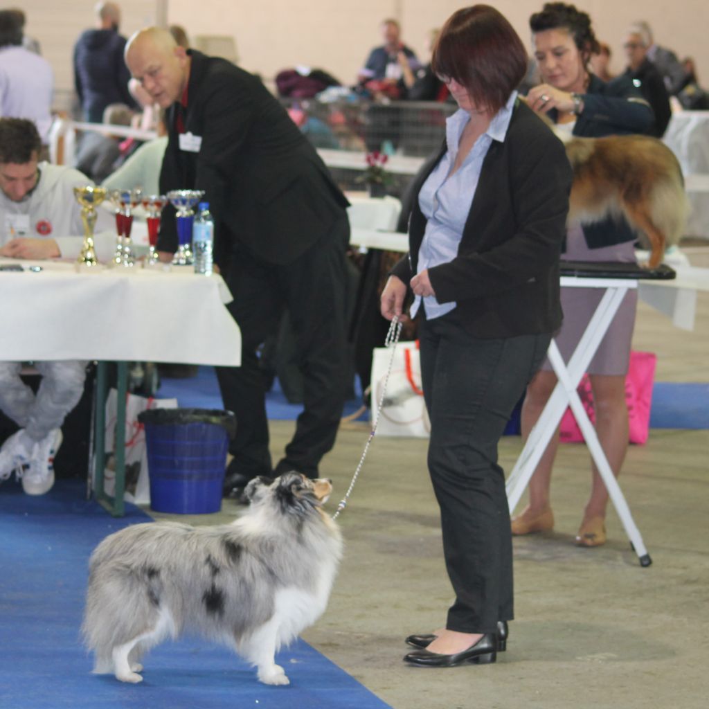 Publication : Of Pretty Countess Auteur : Isabelle GIRESSE