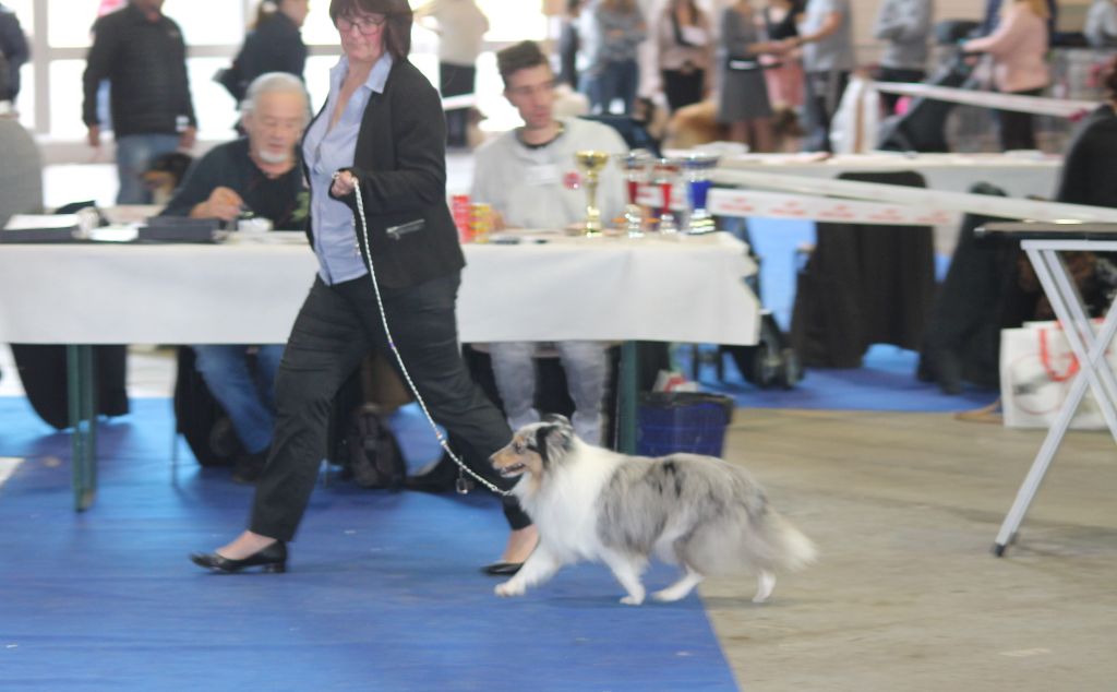 Publication : Of Pretty Countess Auteur : Isabelle GIRESSE