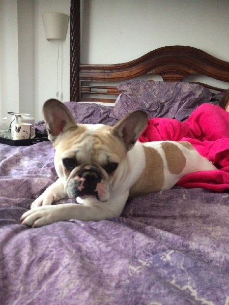 Publication : Des Anges De Mathéo Auteur : Me TANJA