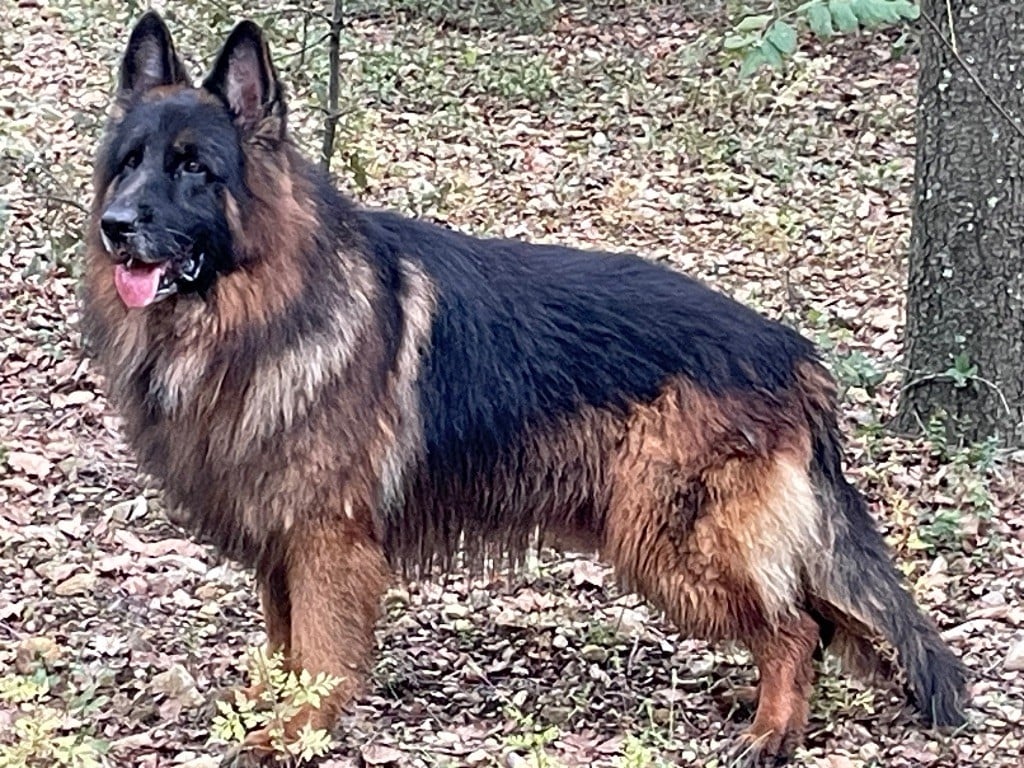 Ponk Du Val Des Grands Sacres