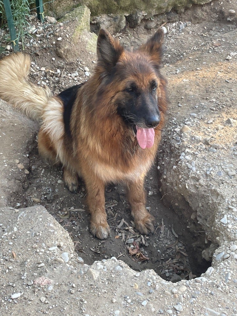 Paris Du Val Des Grands Sacres