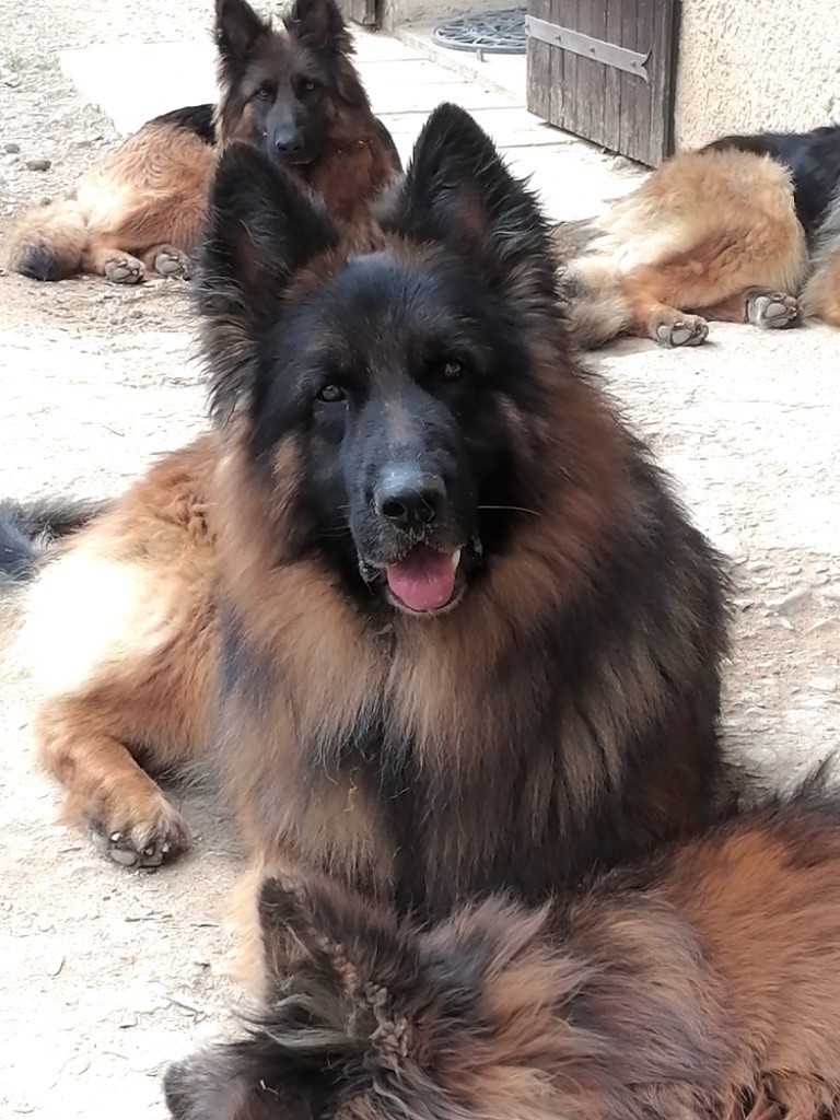 Ponk Du Val Des Grands Sacres