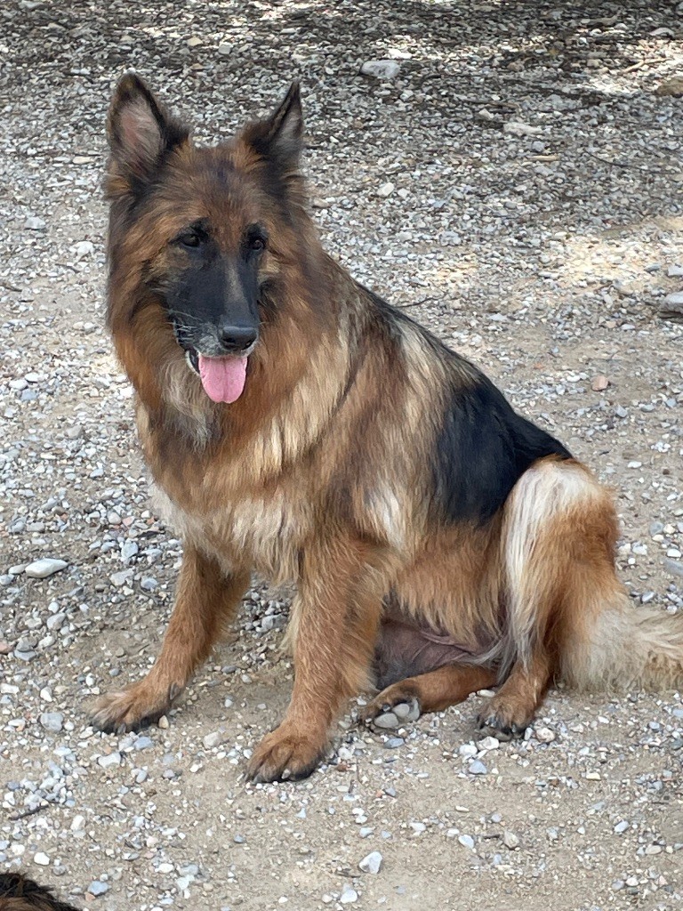 Paris Du Val Des Grands Sacres