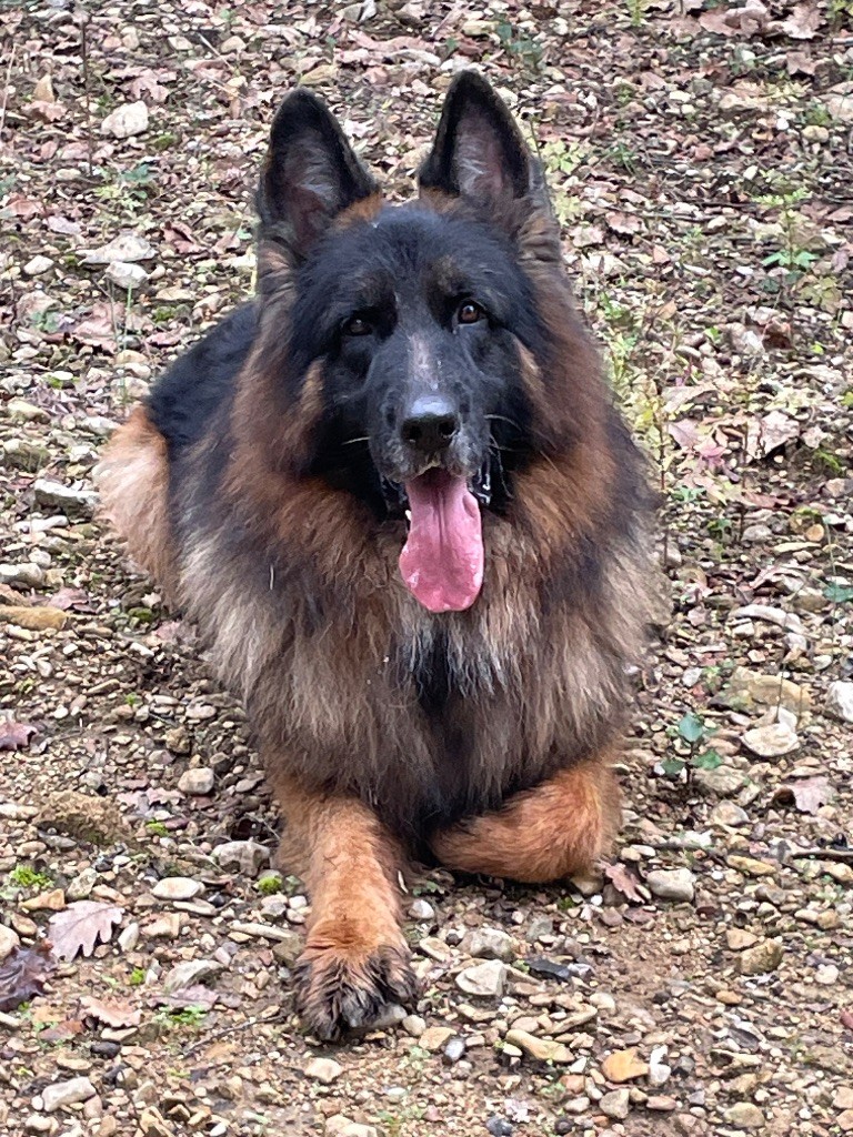 Ponk Du Val Des Grands Sacres