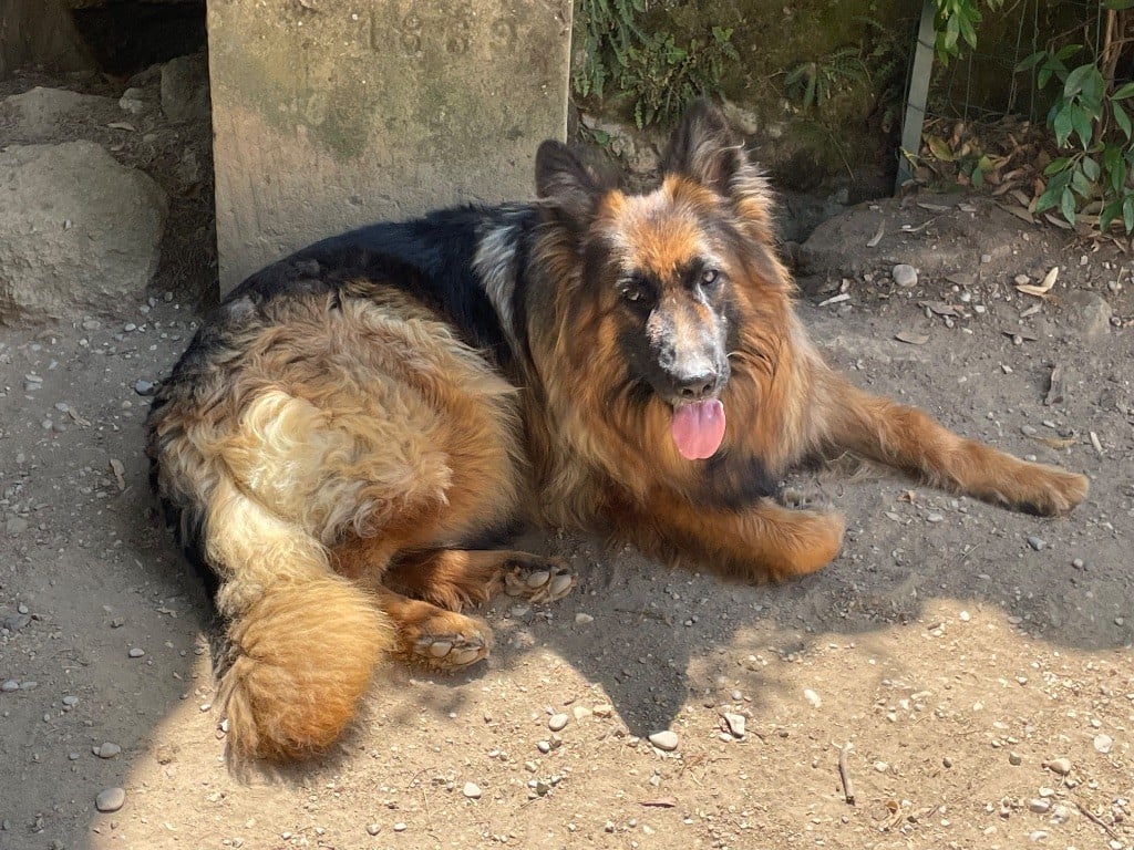 Paris Du Val Des Grands Sacres