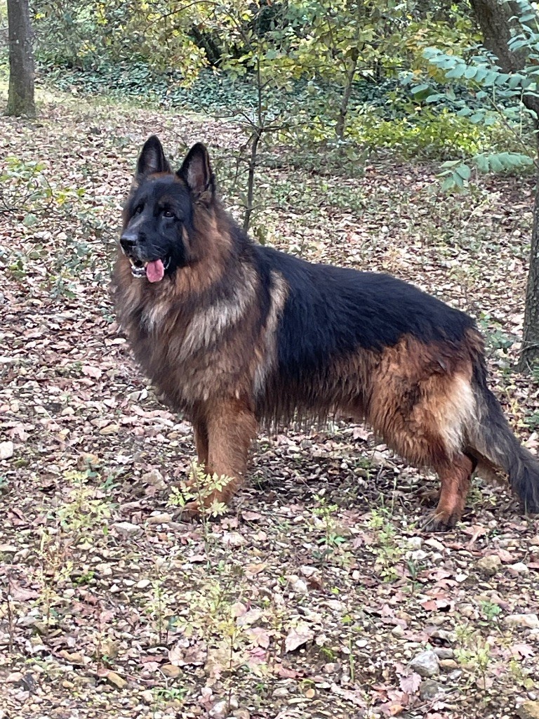 Ponk Du Val Des Grands Sacres