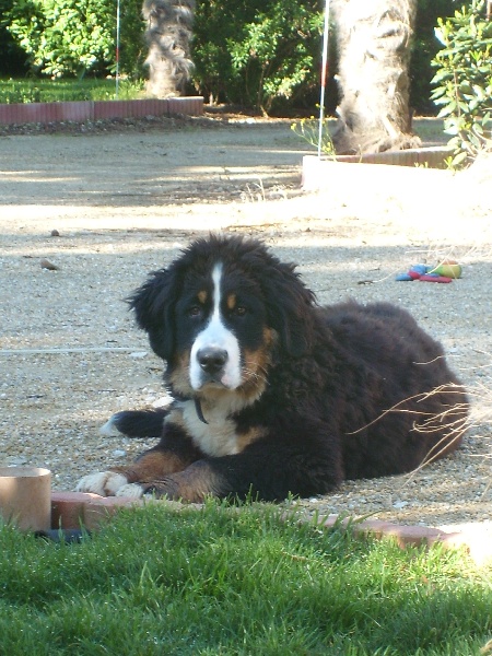 Publication : De La Coustille Ouest