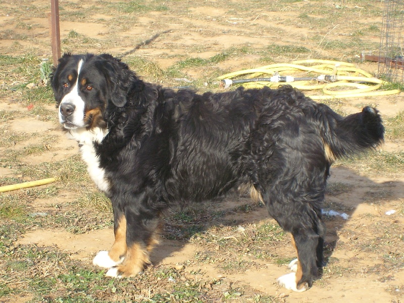 Publication : De La Coustille Ouest