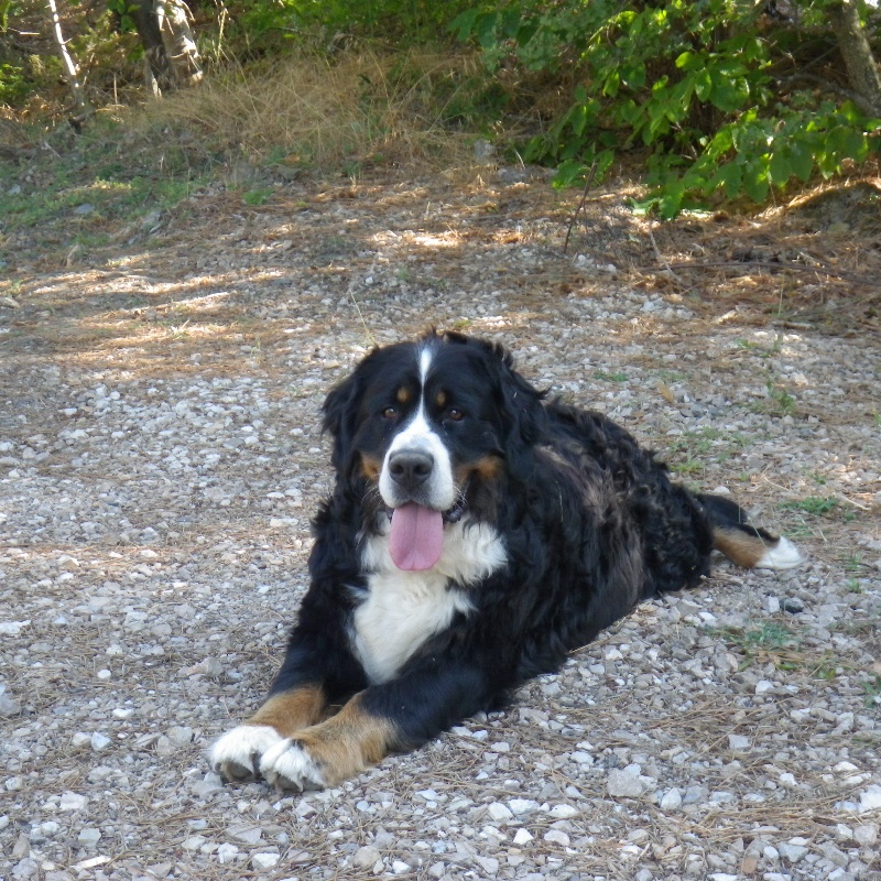 Publication : De La Coustille Ouest