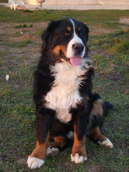 Publication : De La Coustille Ouest