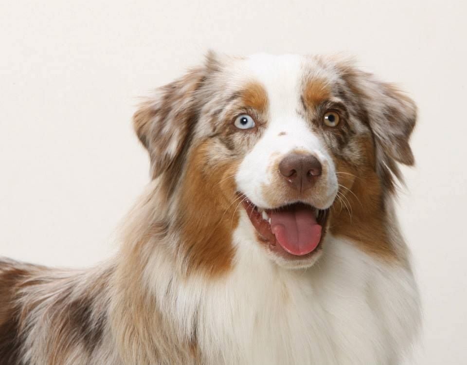 Publication : Of Jamandco