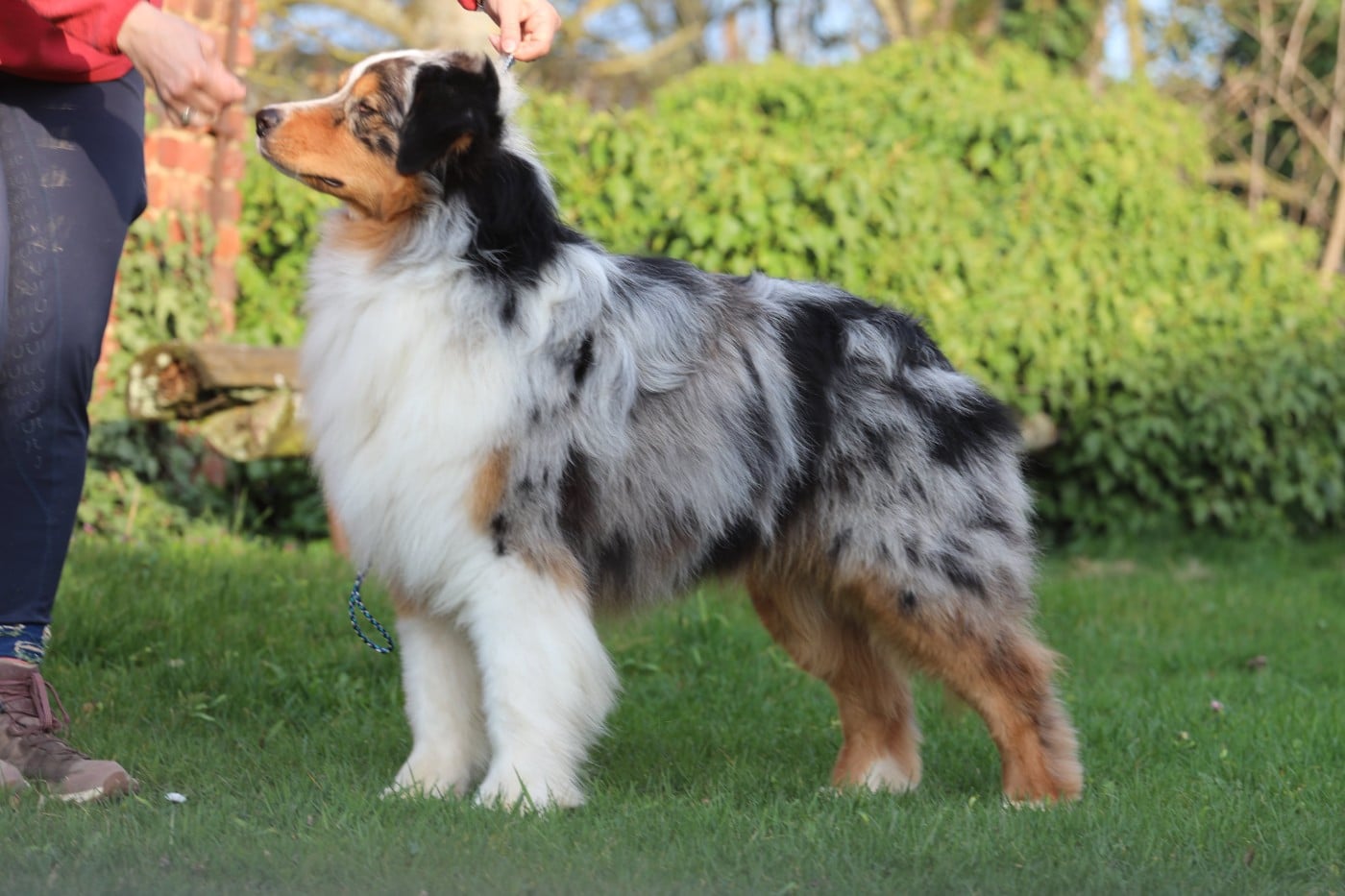 Wild wild west eastwood Of Jamandco