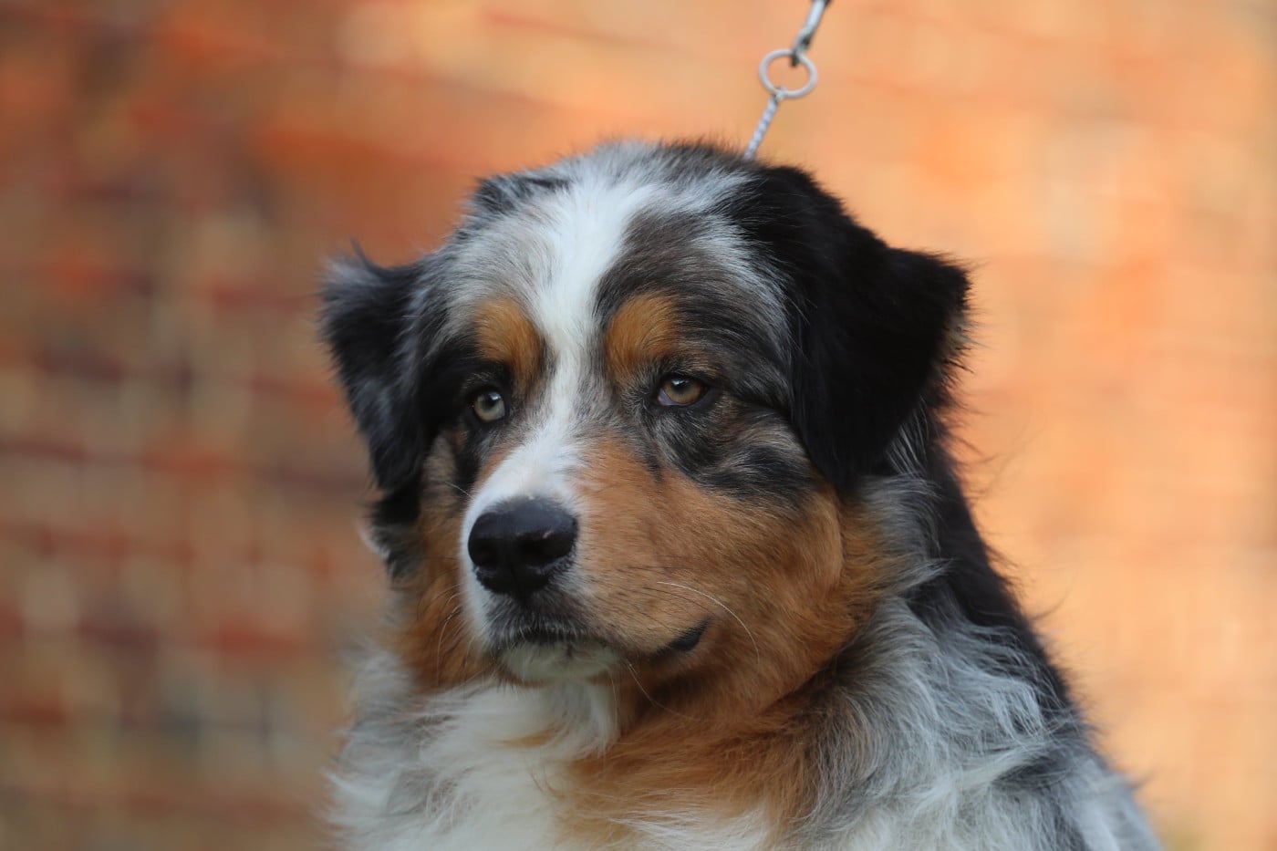 Wild wild west eastwood Of Jamandco