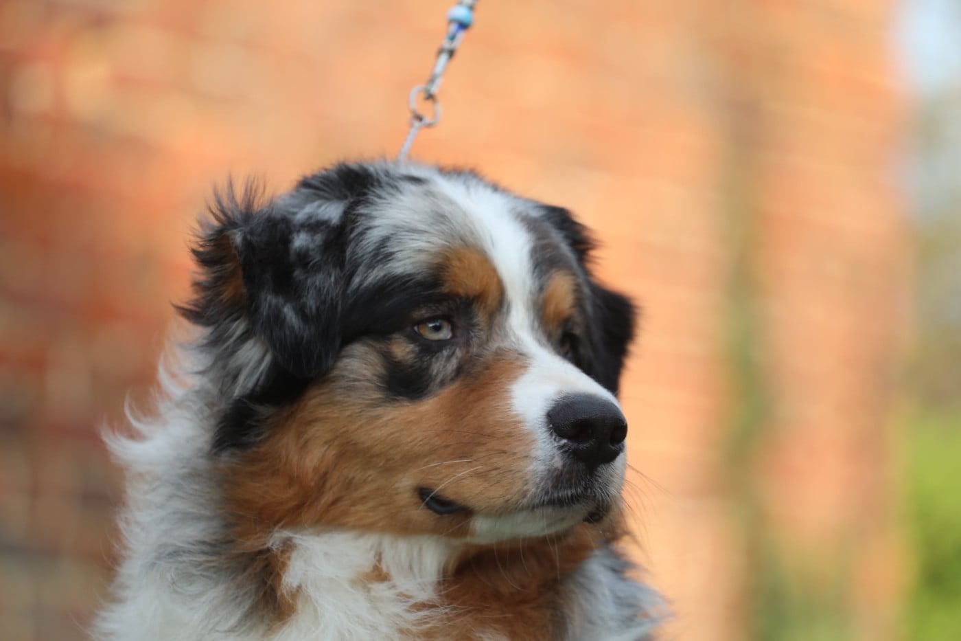 Wild wild west eastwood Of Jamandco