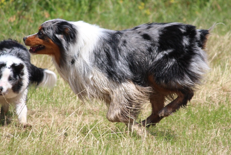 Publication : Of Jamandco Auteur : Anne Tardieu