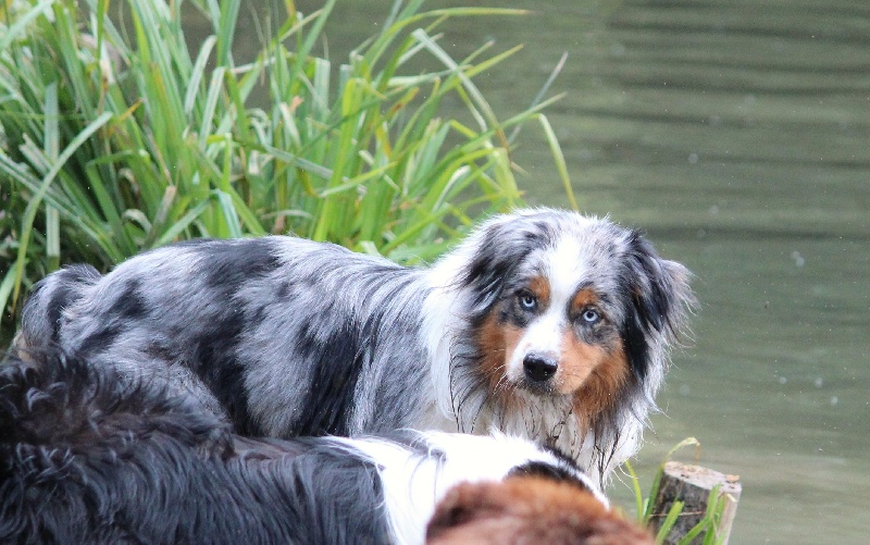 Publication : Of Jamandco Auteur : Anne Tardieu