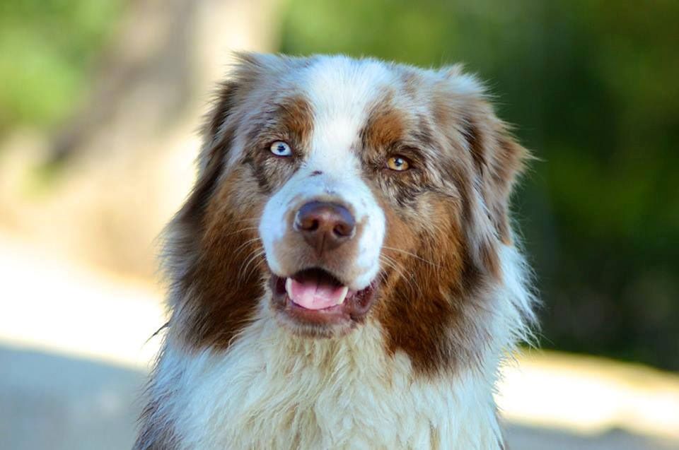 Publication : Of Jamandco