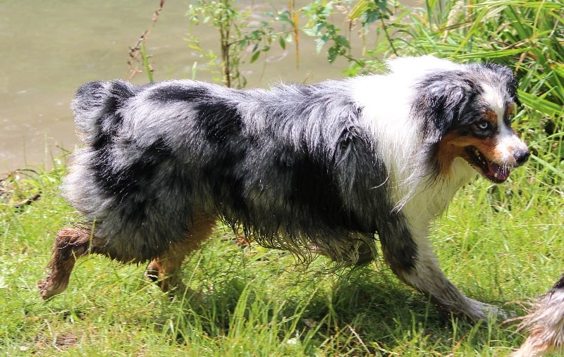 Publication : Of Jamandco Auteur : Anne Tardieu