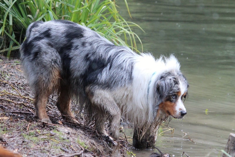 Publication : Of Jamandco Auteur : Anne Tardieu