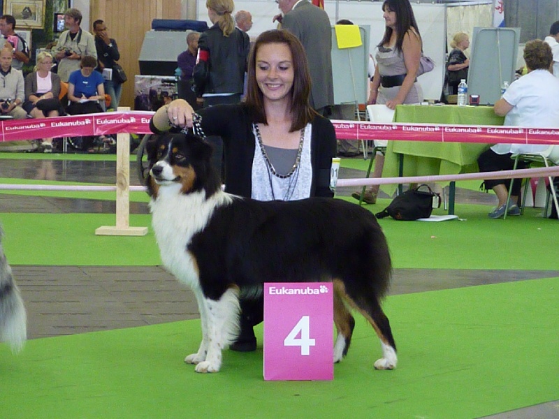 Fallen in love Of Jamandco - 4 eme excellent