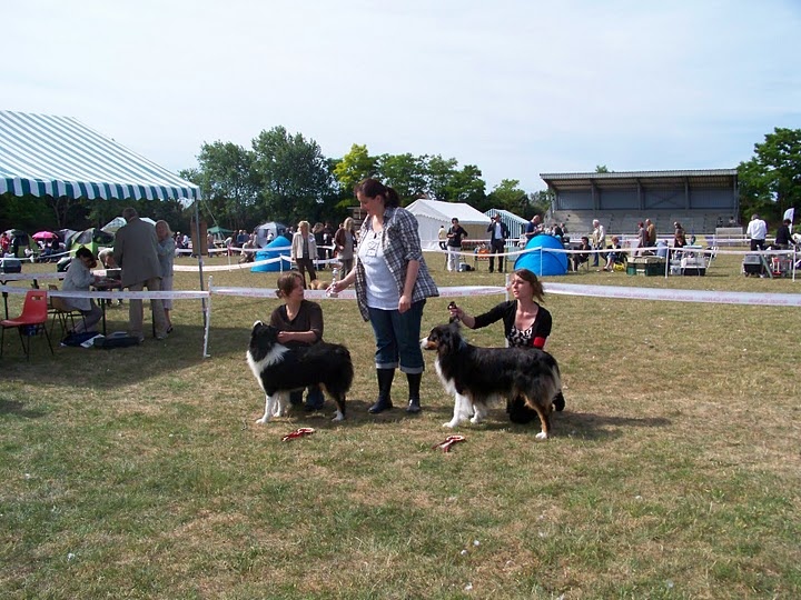 Fallen in love Of Jamandco - 1er excellent ; meilleur jeune