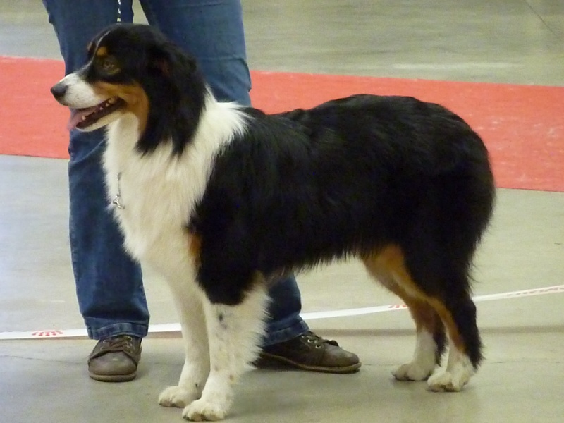 Fallen in love Of Jamandco - 3 eme Excellent