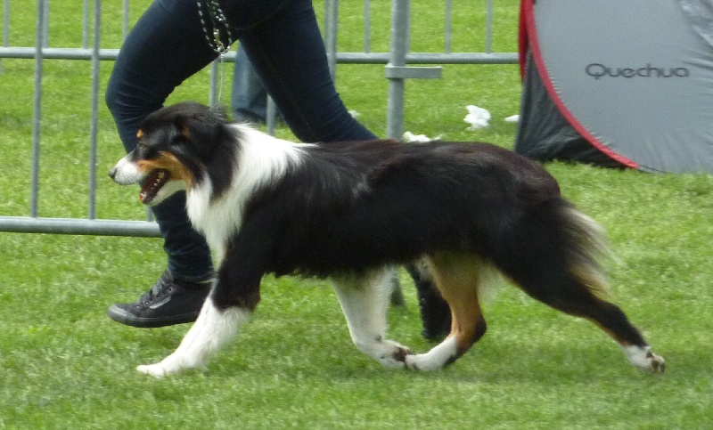 Fallen in love Of Jamandco - 3eme excellent