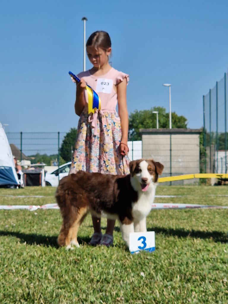 U drive me crazy Of Jamandco - 3eme excellent.