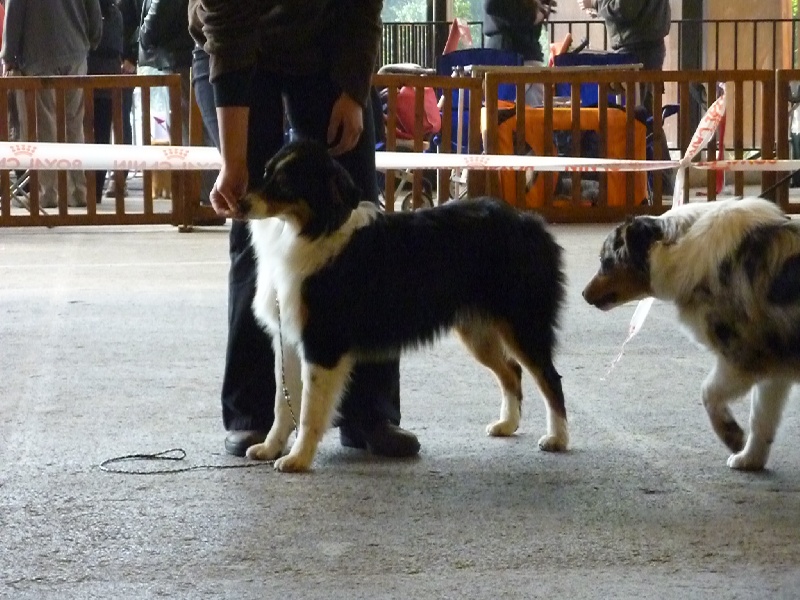 Fallen in love Of Jamandco - 1 ere Très prometteur