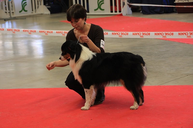 Fallen in love Of Jamandco - très bon