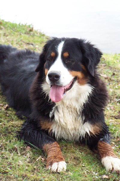 Publication : du Clos de Favras