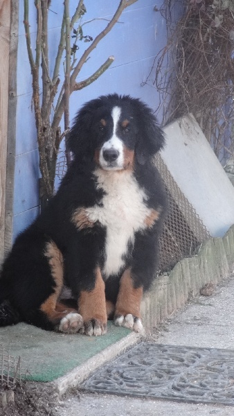 Publication : du Clos de Favras