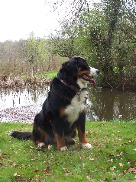 Publication : du Clos de Favras